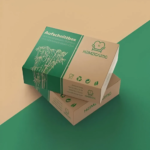 Eco Friendly Kraft Boxes